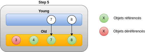 Step 5