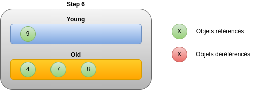 Step 6