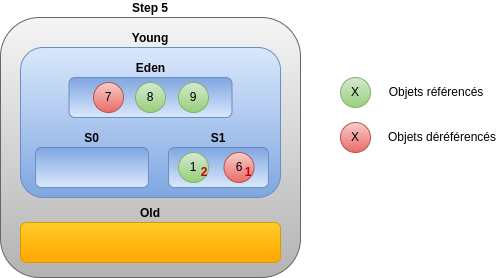 Step 5
